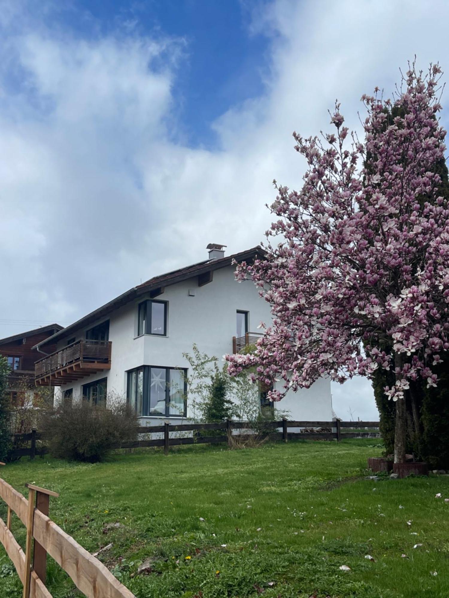 Appartment 53Qm Im Architektenhaus - 2 Schlafzimmer Mit Kueche Und Bad, Nur 2Min Von A8 - Ruhig Und Modern Иршенберг Экстерьер фото